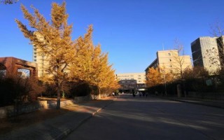 唐山师范学院,艺考录取原则