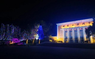 南大學2022廣東招生計劃,西南大學招生人