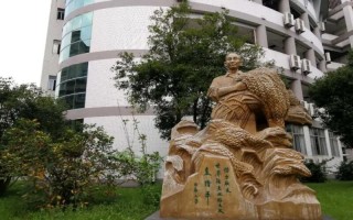 西南大學,招生計劃