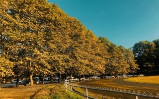 2021贵州大学录取分数线