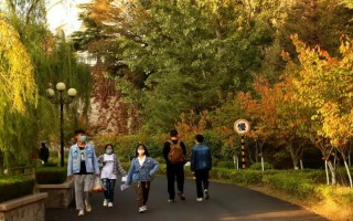 青岛恒星科技学院,录取分数线,英语专业