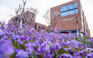南開大學,招生計劃