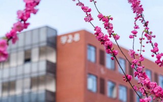 南開大學,招生計劃