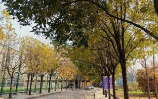 中北大學國際經濟與貿易選考科目,中北大學河北選考科目,中北大學2023年招生要求,國際經濟與貿易選考科目