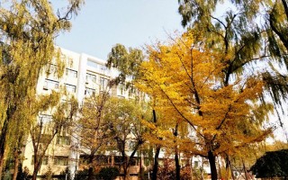 中北大學國際經濟與貿易選考科目,中北大學山東選考科目,中北大學2023年招生要求,國際經濟與貿易選考科目