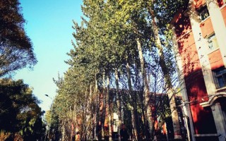 山西大學