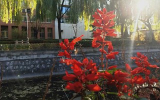 山西大學