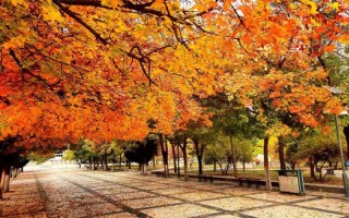 太原理工大學測繪工程選考科目,太原理工大學遼寧選考科目,太原理工大學2023年招生要求,測繪工程選考科目