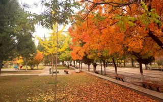 太原理工大學信息與計算科學選考科目,太原理工大學河北選考科目,太原理工大學2023年招生要求,信息與計算科學選考科目