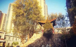 太原理工大學信息與計算科學選考科目,太原理工大學湖北選考科目,太原理工大學2023年招生要求,信息與計算科學選考科目