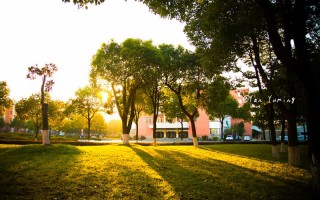 常州工业职业技术学院,2023空中乘务类专业招生计划,2023常州工业职业技术学院空中乘务类专业招生计划