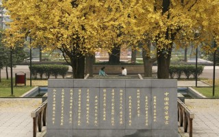 庆医科大学2022辽宁招生计划,重庆医科大学招生人