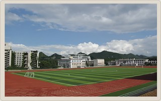 2021贵州大学科技学院录取分数线
