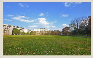 2021贵州大学科技学院录取分数线