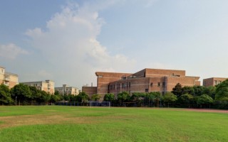 2023年浙江艺术职业学院艺术类录取分数线
