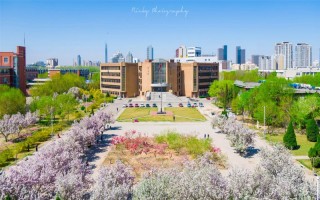 南開大學,招生計劃