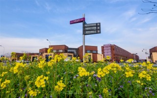 開大學2022云南招生計劃,南開大學招生人