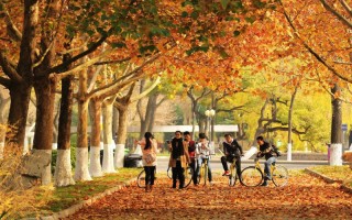 開大學2022北京招生計劃,南開大學招生人