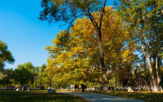 開大學2022天津招生計劃,南開大學招生人