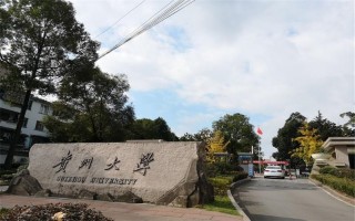2021贵州大学科技学院录取分数线