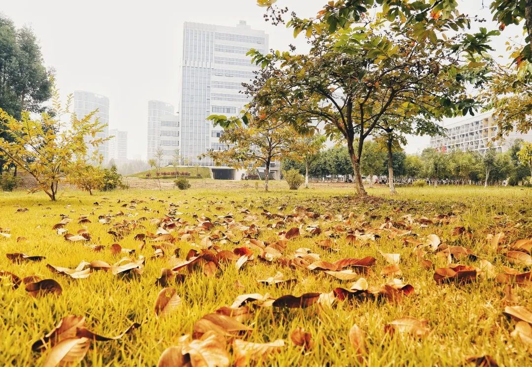 广西艺术学院