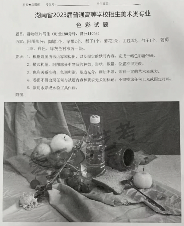 2023湖南美术统考色彩考题