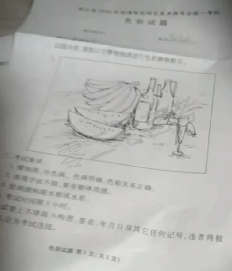 2023浙江美术统考色彩考题