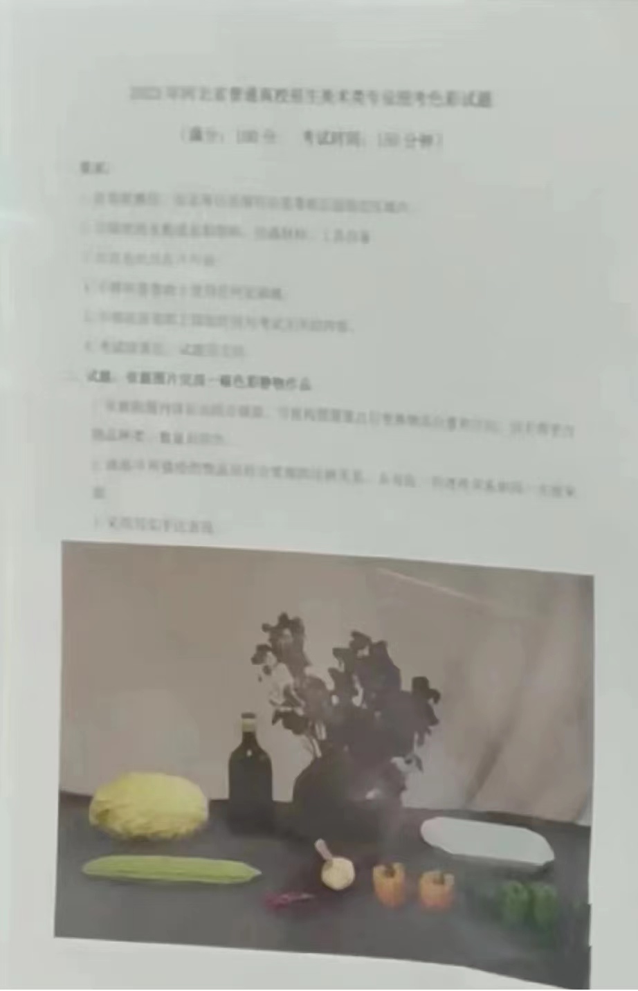 2023河北美术统考色彩考题